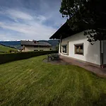 Braun 2 *